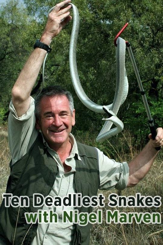 十大毒蛇 第三季 Ten Deadliest Snakes with Nigel Marven Season 3 (2017)