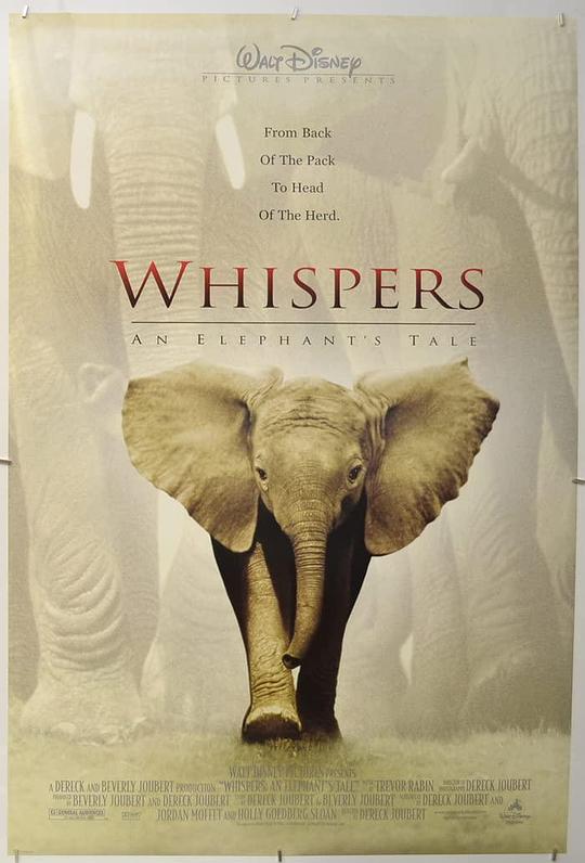 小象的故事 Whispers: An Elephant's Tale (2000)