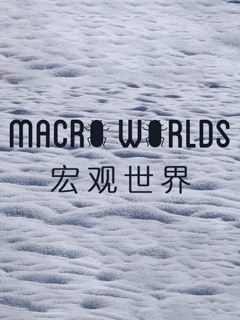 宏观世界 Macro Worlds (2017)