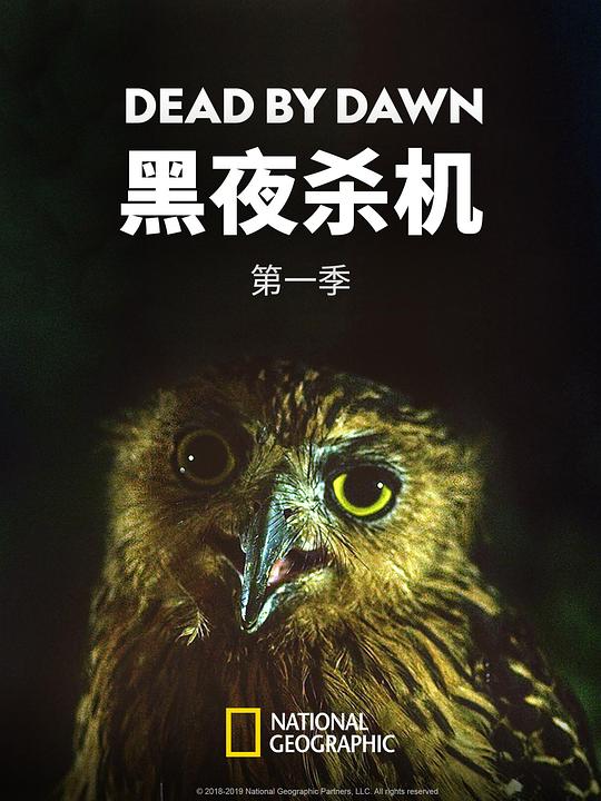 黑夜杀机 第一季 Dead by Dawn Season 1 (2019)