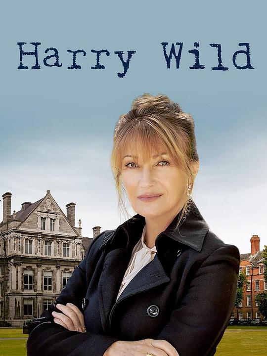 野探哈莉 第一季 Harry Wild Season 1 (2022)