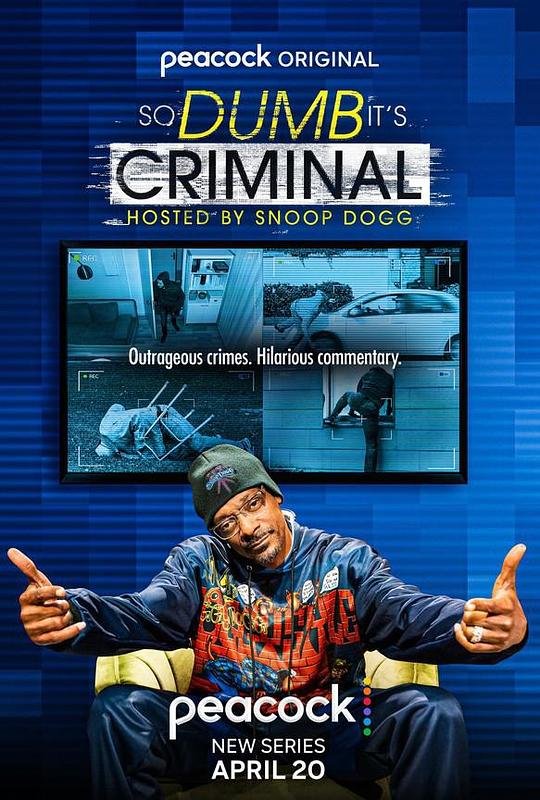 So Dumb it's Criminal Hosted by Snoop Dogg Season 1  (2022)