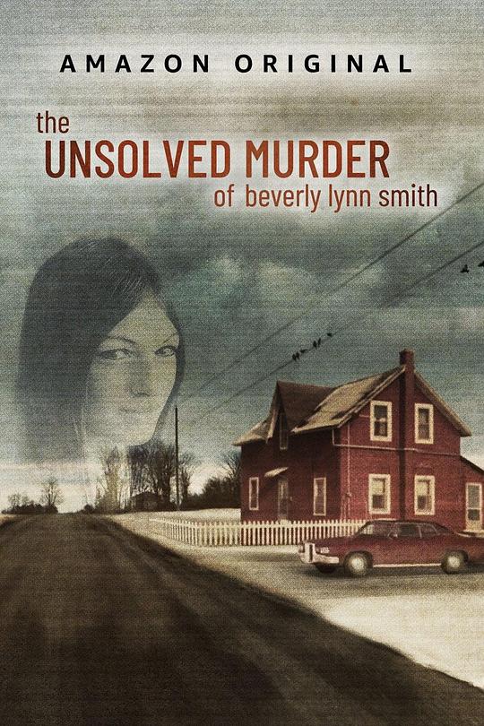 贝芙琳林恩史密斯悬案 The Unsolved Murder of Beverly Lynn Smith (2022)