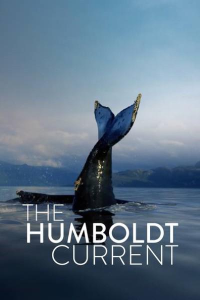 The Humboldt Current Season 1  (2021)