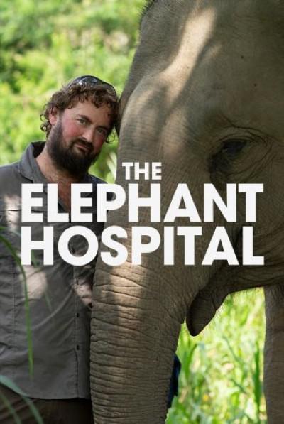 Elephant Hospital Season 1 (2020)