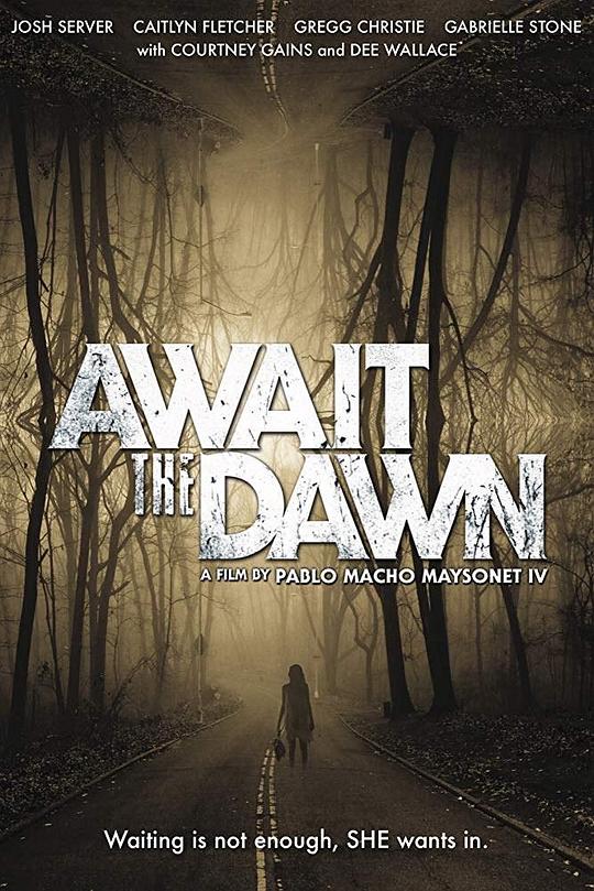 暗黑波利5：法老的豪宅 Await the Dawn (2020)