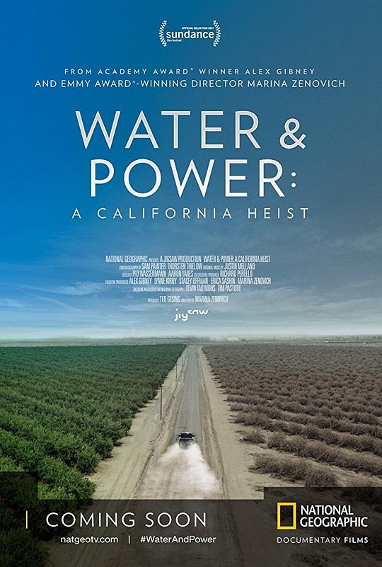 水与电：一次加州大劫案 Water & Power: A California Heist (2017)