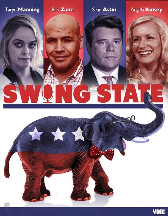 摇摆州 Swing State (2016)