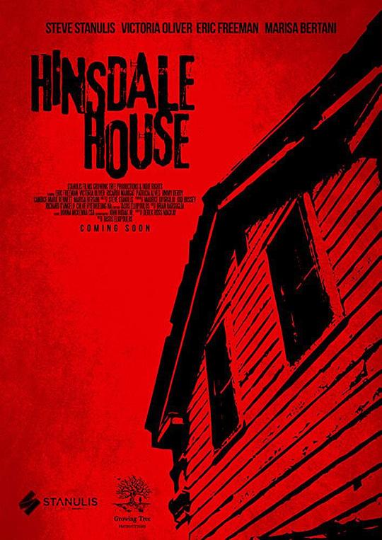 欣斯代尔的房子 Hinsdale House (2019)