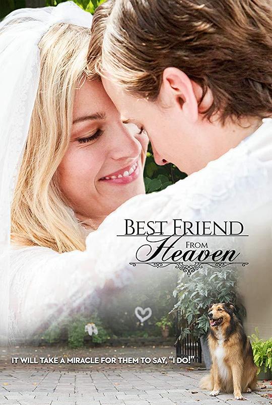 来自天堂的最好朋友 Best Friend from Heaven (2018)