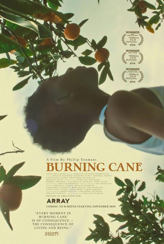 燃烧的甘蔗 Burning Cane (2019)