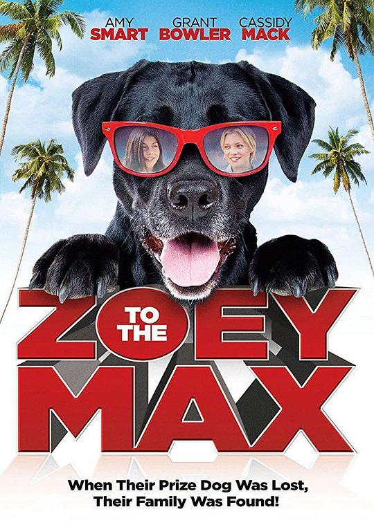 佐伊和麦克斯 Zoey to the Max (2013)