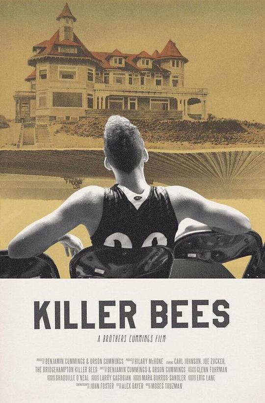 杀手蜜蜂 Killer Bees (2017)