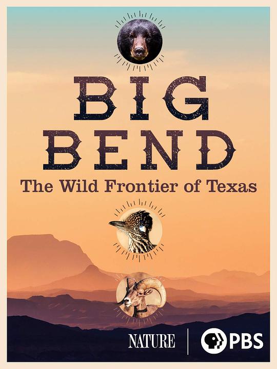 大本德：德克萨斯州的荒野边疆 第三十九季 Big Bend: The Wild Frontier of Texas Season 39 (2021)