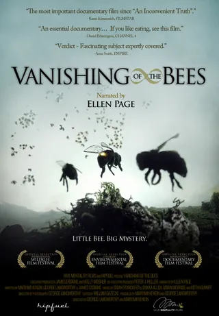 蜜蜂的消亡 Vanishing of the Bees (2009)