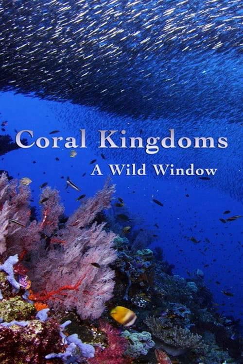 珊瑚王国 Wild Window: Coral Kingdoms (2016)