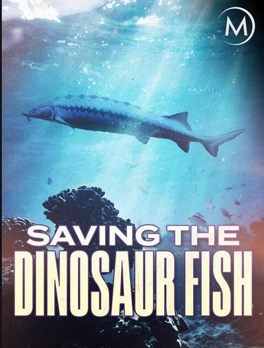 濒危远古大鱼 Saving the Dinosaur Fish (2020)
