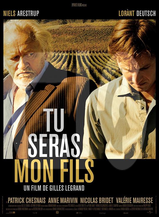 换子记 Tu seras mon fils (2011)