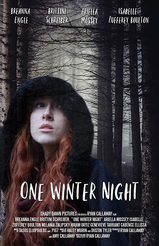 一个冬夜 One.Winter.Night (2019)