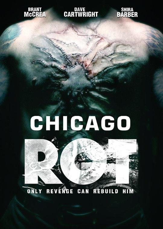 暗黑破坏芝加哥 Chicago Rot (2015)