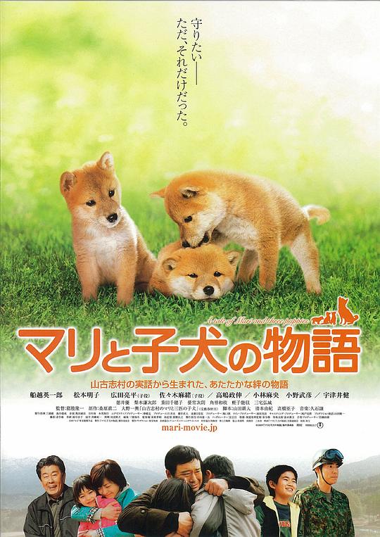 爱犬的奇迹 マリと子犬の物語 (2007)