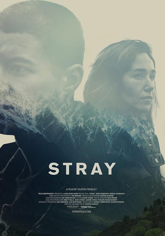 迷路 Stray (2018)