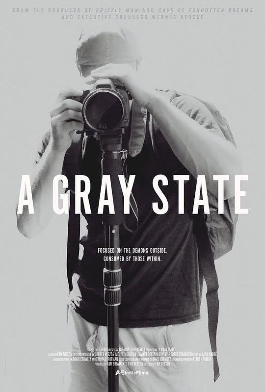 灰色国度 A Gray State (2017)