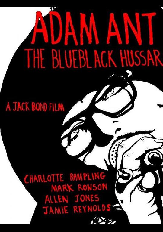 深蓝轻骑兵 The Blueblack Hussar (2013)