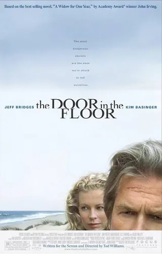 寡居的一年 The Door in the Floor (2004)