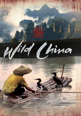 美丽中国 (2008)