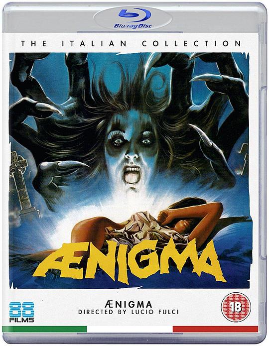 复仇之迷：卢西奥.弗尔兹和他的80年代 Aenigma: Lucio Fulci and the 80s (2017)