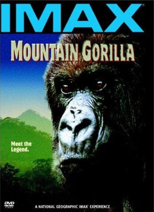 山地大猩猩 Mountain Gorilla (1992)