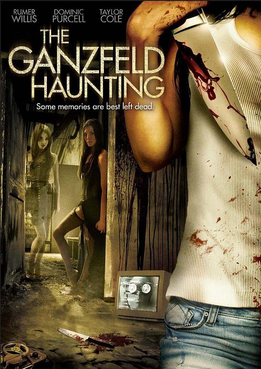 甘兹菲尔德闹鬼事件 The Ganzfeld Haunting (2014)