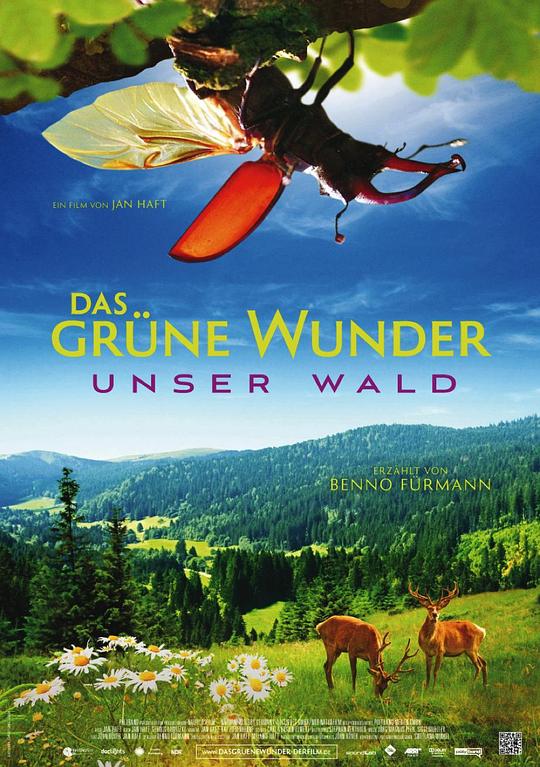 大自然之舞 Das grüne Wunder - Unser Wald (2012)