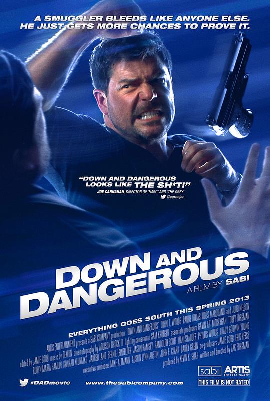 堕落危情 Down and Dangerous (2013)