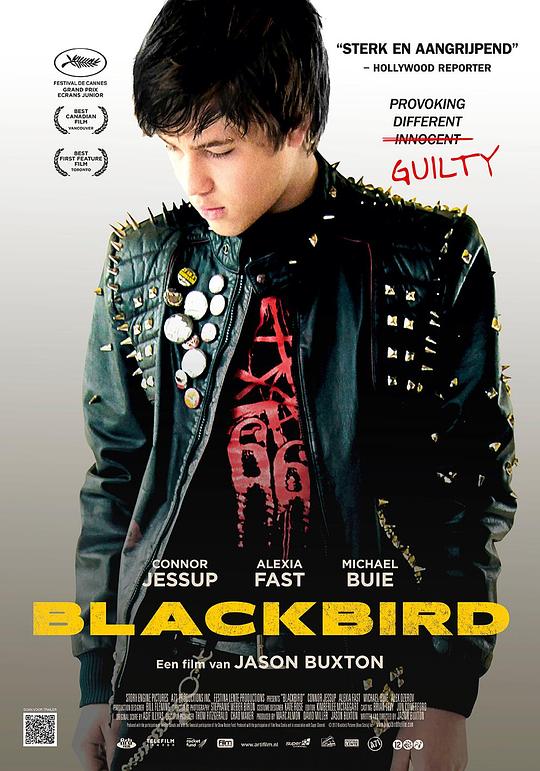 黑鸦的救赎 Blackbird (2012)