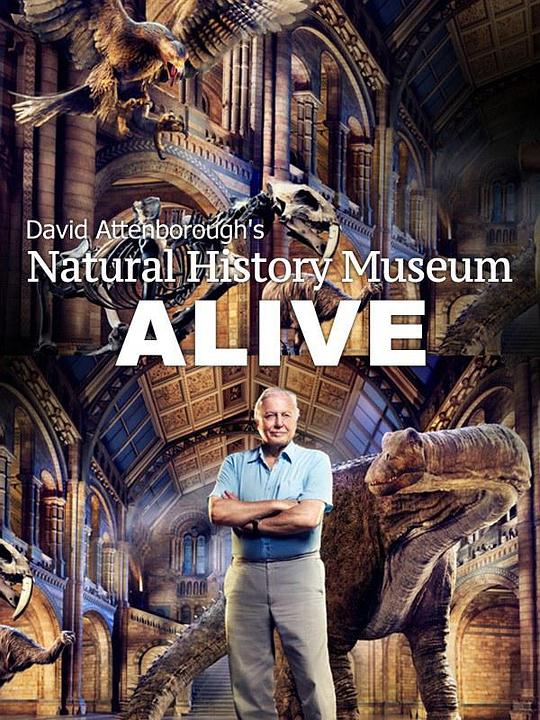 爱丁保罗夫爷爷的博物馆奇妙夜 David Attenborough's Natural History Museum Alive (2013)