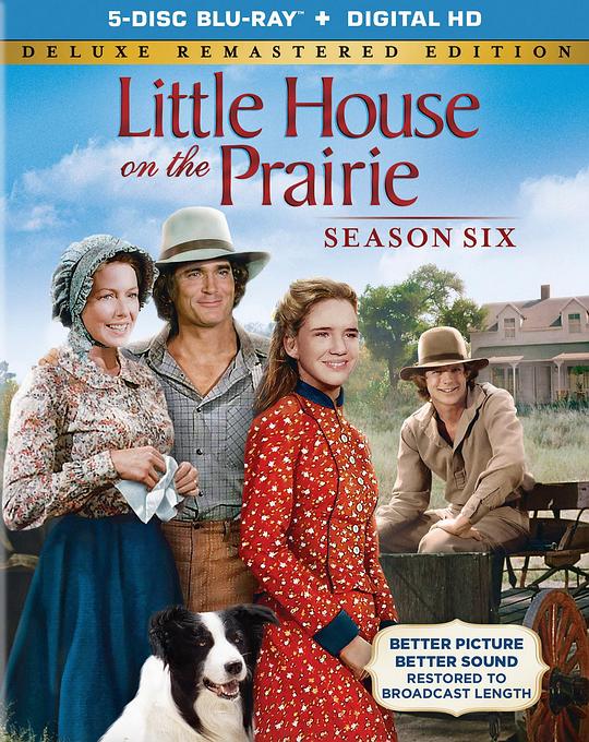 草原小屋 第六季 Little House on the Prairie Season 6 (1979)