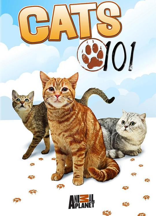 喵星人百科 第四季 Cats 101 Season 4 (2012)
