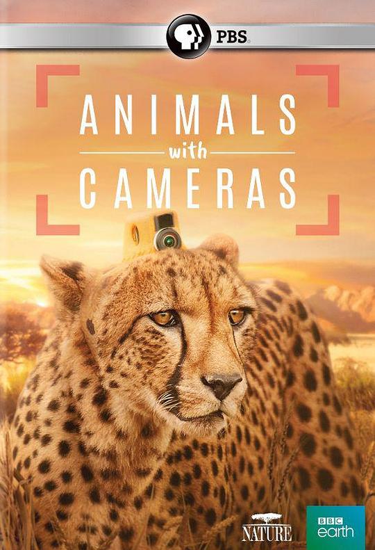 假如动物会摄影 Animals with Cameras (2018)