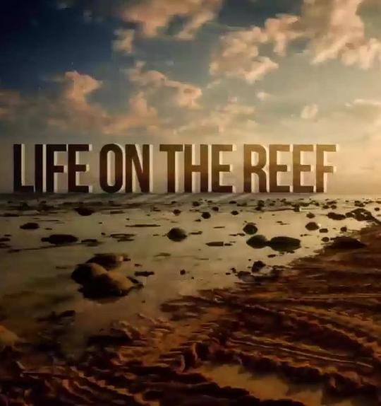 跃动大堡礁 第一季 Life on the Reef Season 1 (2015)