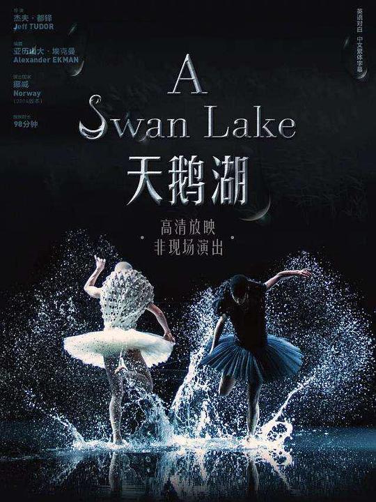 天鹅湖 A Swan Lake (2014)