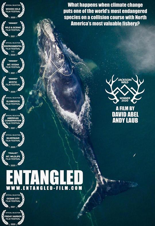 拯救露脊鲸 Entangled: The Race to Save Right Whales from Extinction (2020)