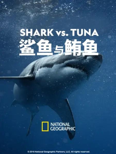 鲨鱼与鲔鱼 Shark vs Tuna (2018)