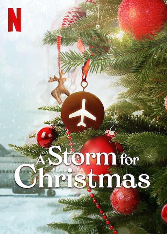 圣诞风暴 A Storm for Christmas (2022)
