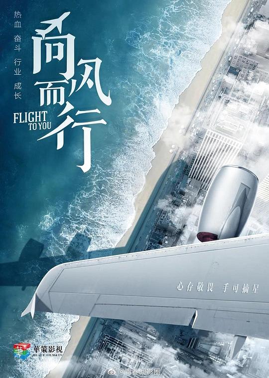 向风而行  (2022)