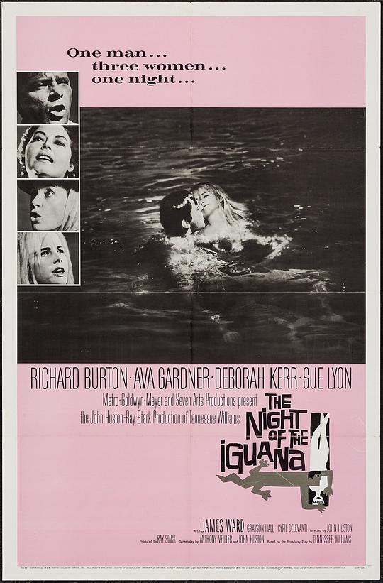 巫山风雨夜 The Night of the Iguana (1964)