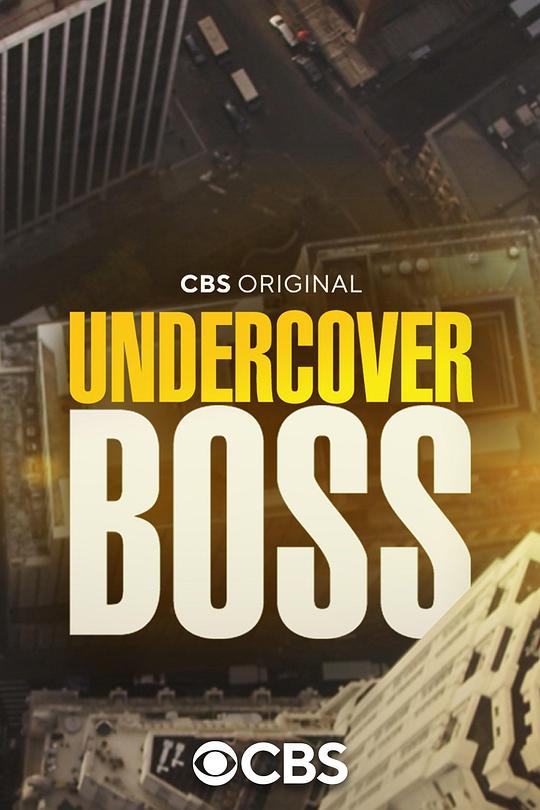 卧底老板 第十一季 Undercover Boss Season 11 (2022)