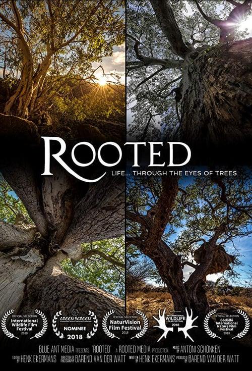 生命之树 Rooted (2018)