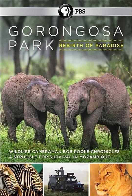 Gorongosa Park: Rebirth of Paradise  (2015)